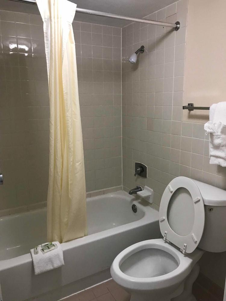 Quality Tampa Hotel