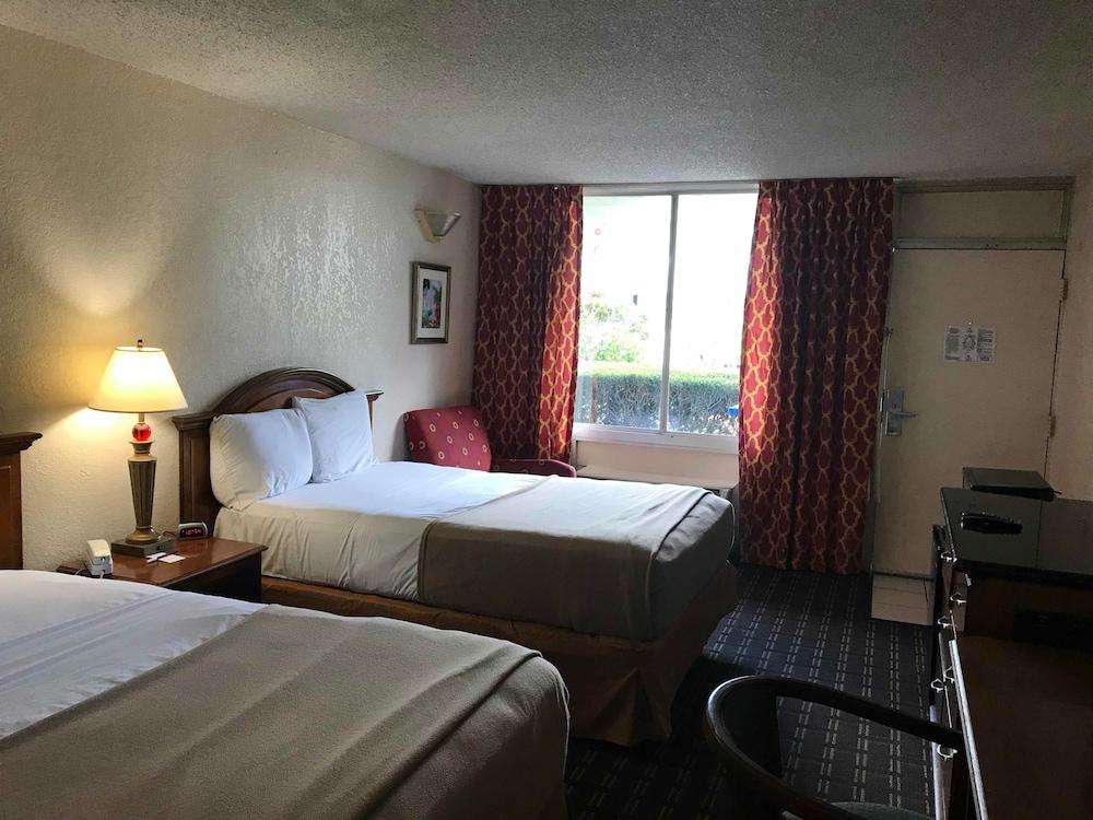 Quality Tampa Hotel