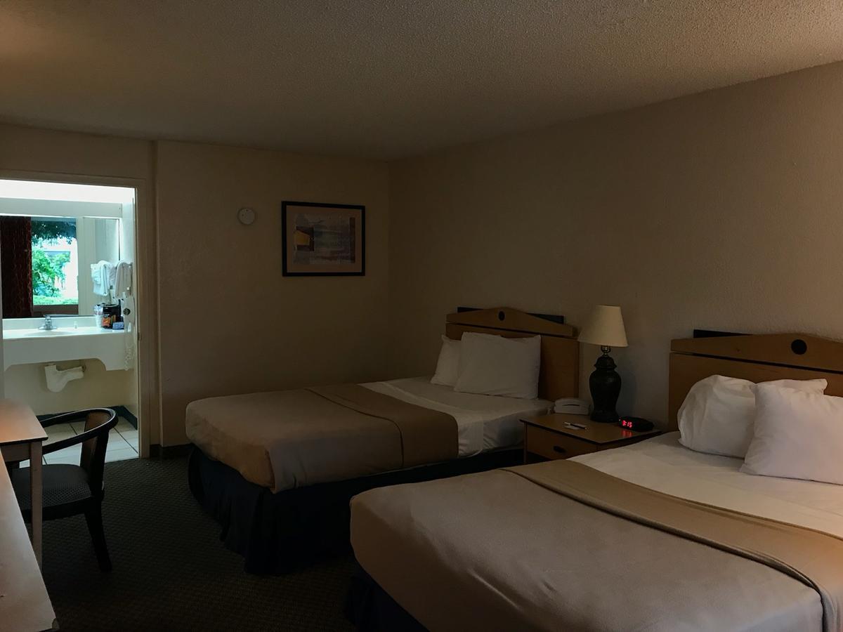 Quality Tampa Lake Magdalene